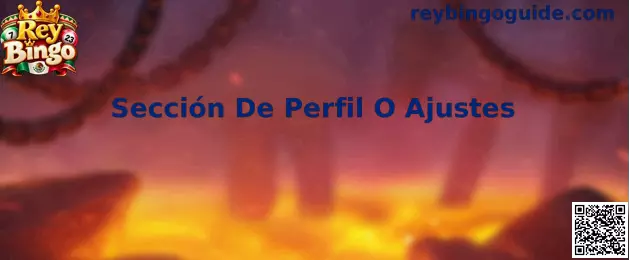 Sección De Perfil O Ajustes en Rey Bingo