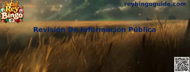 Revisión De Información Pública de Rey Bingo