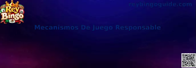 Ilustración informativa sobre mecanismos de juego responsable, límites personales y protección del usuario en Rey Bingo