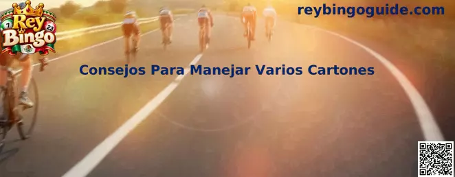 Consejos Para Manejar Varios Cartones en Rey Bingo