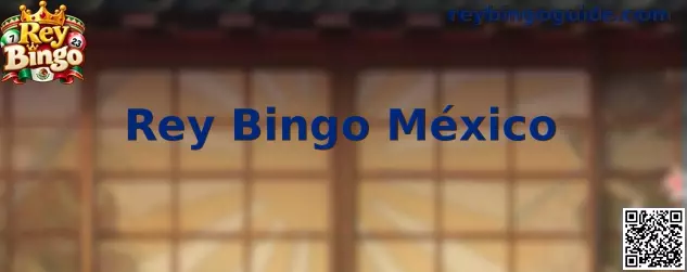 Guía informativa de Rey Bingo México para conocer el bingo digital recreativo