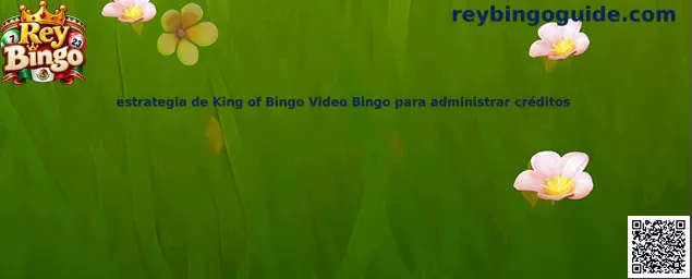 Imagen ilustrativa de la guía de Rey Bingo para organizar créditos en King of Bingo Video Bingo