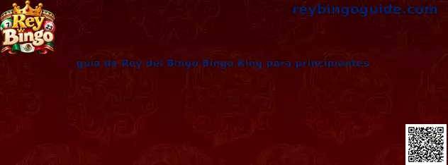 Guía de Rey Bingo Bingo King para principiantes