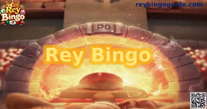 Guía informativa de Rey Bingo para usuarios de México