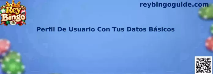 Perfil de usuario con tus datos básicos para organizar una cuenta de juego en línea